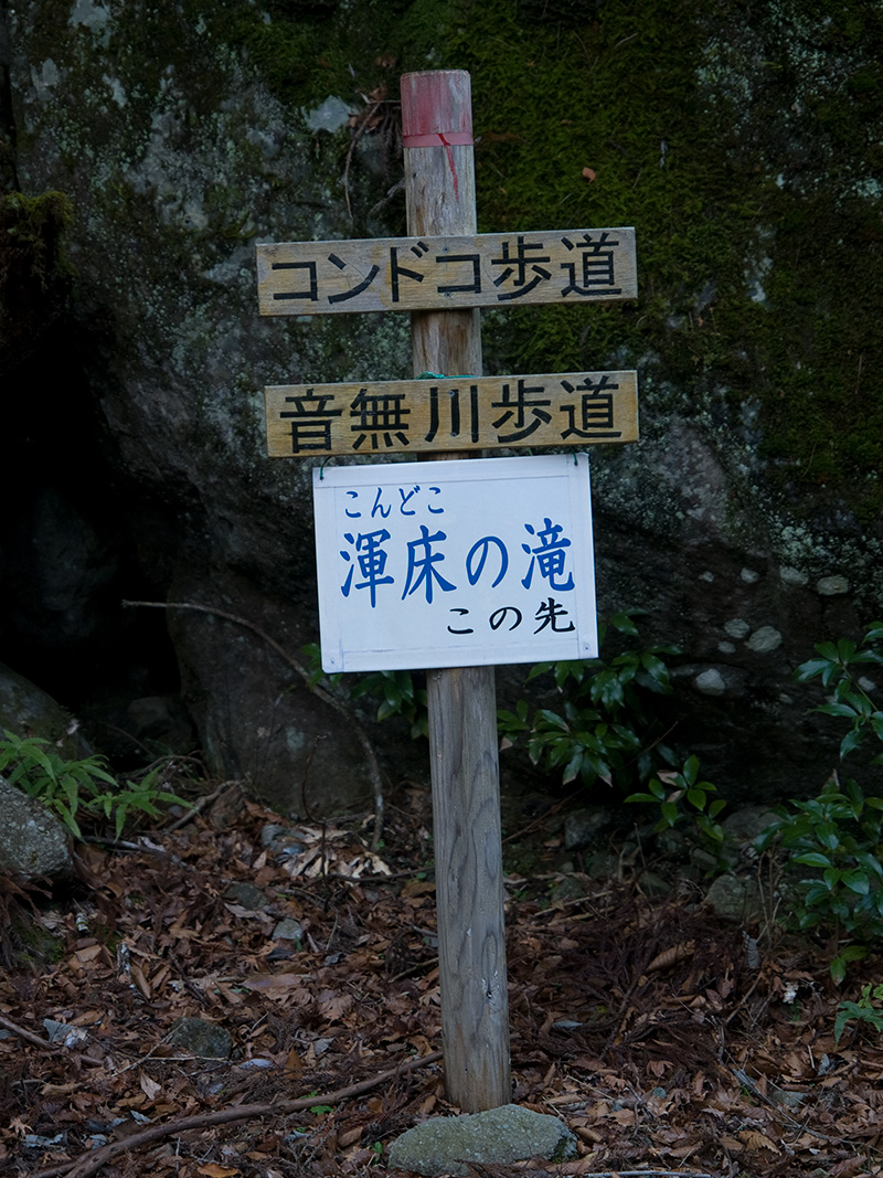 ç•‘é‡Žã�²ã‚�å­� の掲示板投稿写真＆画像