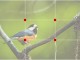 StudioGraphics の Facebook ページを更新しました。 今回のタイトルは「 ■ FBのためのスマホ写真撮りかた講座　～　第８回　構図の種類　三分割法 」です。 構図の話は苦手意識が強いのですが、まぁな […]