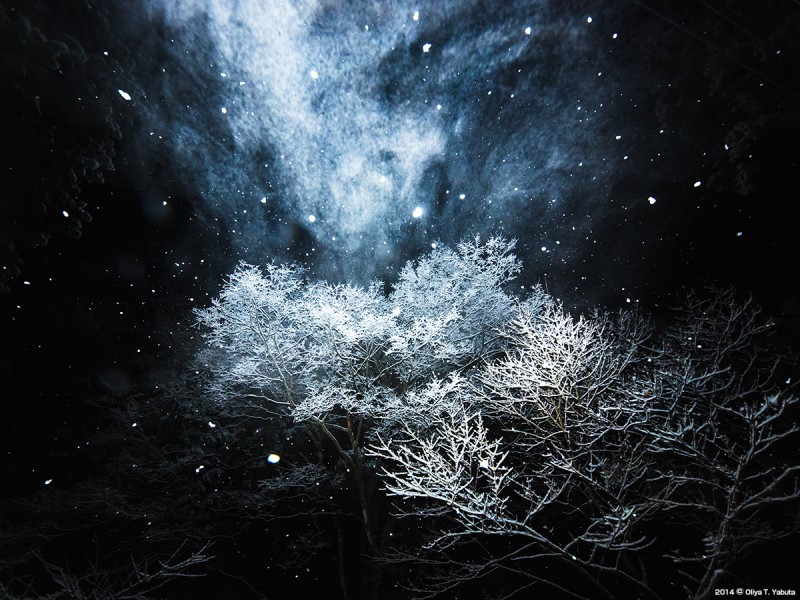 光景写真－2014 初雪・陣馬高原　１