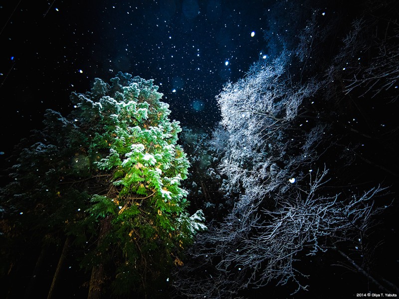 光景写真－2014 初雪・陣馬高原　２