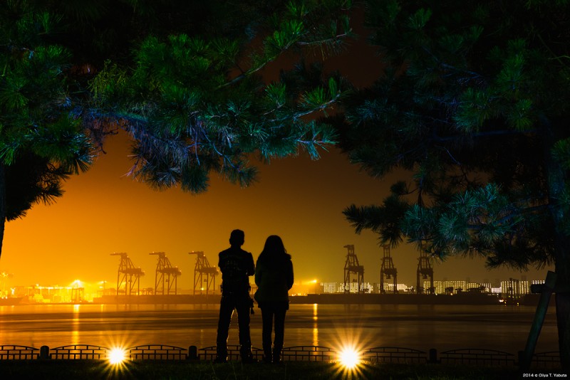 光景写真－ 2014 湾岸サファリ